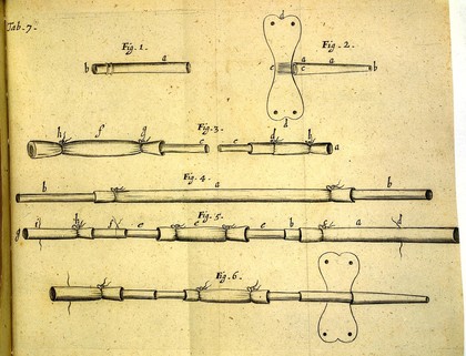 Tractatus de corde. Item de motu & colore sanguinis et chyli in eum transitu ... / [Richard Lower].