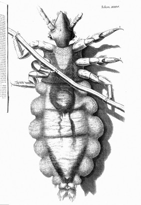 Micrographia: or some physiological descriptions of minute bodies made by magnifying glasses. With observations and inquiries thereupon / By R. Hooke.