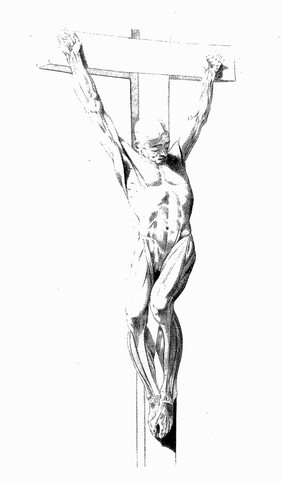 Crucified ecorche, Jacques Gamelin