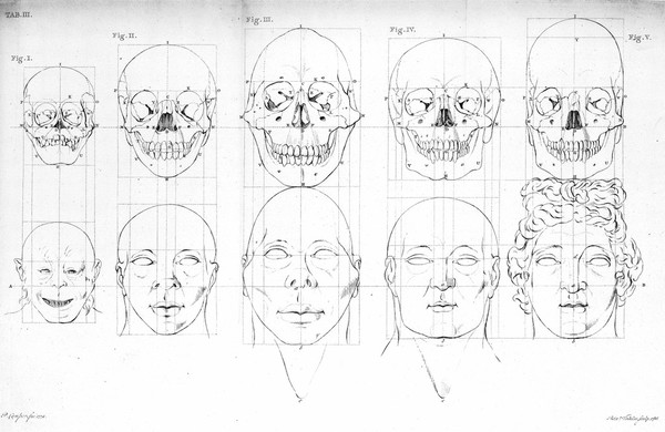 Dissertation physique ... sur les différences réelles que présentent les traits du visage chez les hommes de différents pays et de différents âges : sur le beau qui caractèrise les statues antiques et les pierres gravées. Suivie de la proposition d'une nouvelle méthode pour déssiner toutes sortes de têtes humaines / ... Publiée ... par ... Adrien Gilles Camper ... traduite du hollandois par Denis Bernard Quatremere d'Isjonval.