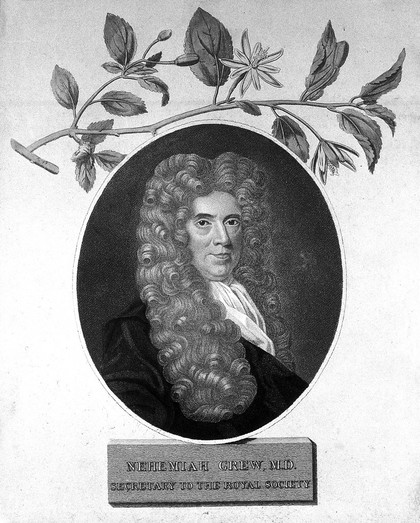 Nehemiah Grew; with a vignette of Gresham College. Stipple engraving by J. Newton, 1804, after R. White, 1701.