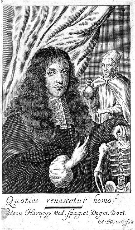 Engraving: portrait of G. Harvey, left hand