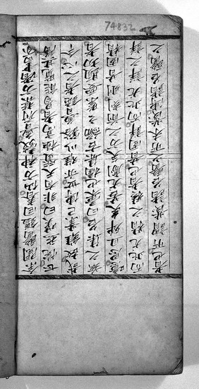 Chinese manuscript dealing with disease.