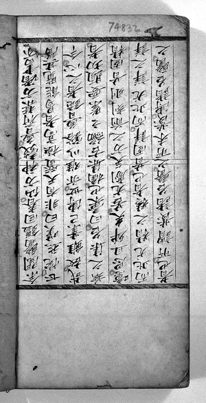 view Chinese manuscript dealing with disease.