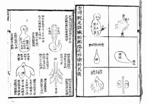 view Chinese manuscript Yu-t'ien Wang Ch'ing-jen chu.