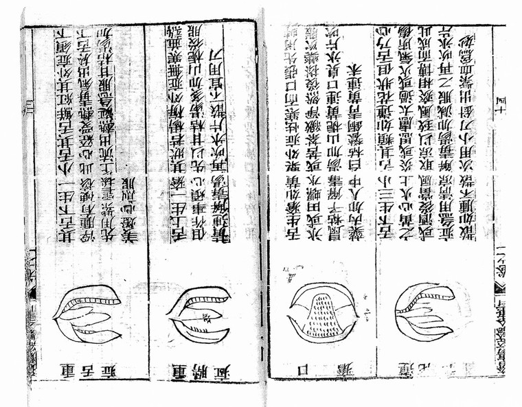 Chinese manuscript Chu0027uang-yang ching-yen chu0027uan-shu.  Wellcome 