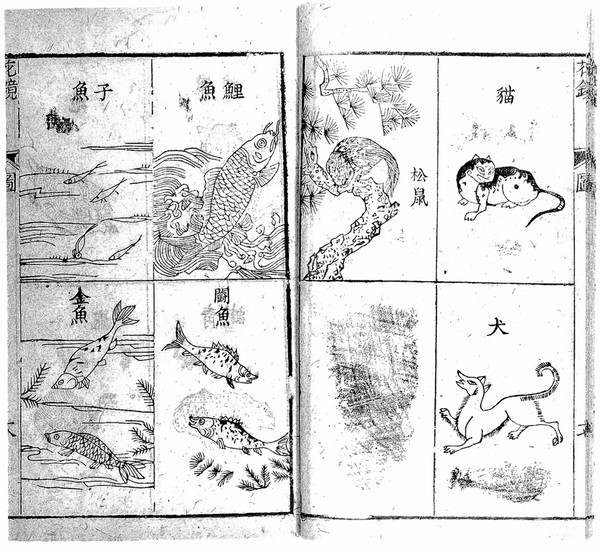 Chinese manuscript Hua-ching