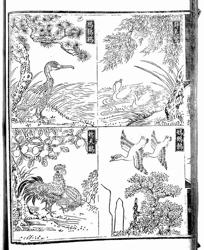 Chinese manuscript Erh-ya yin-t'u.