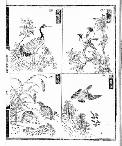 Chinese manuscript Erh-ya yin-t'u.