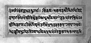 view Folio 15 recto from Prthvidhara, Bhuvanesvararistrota