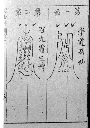 view Chinese manuscript Pi-ts'ang I-shu chu-yu shih-san k'o