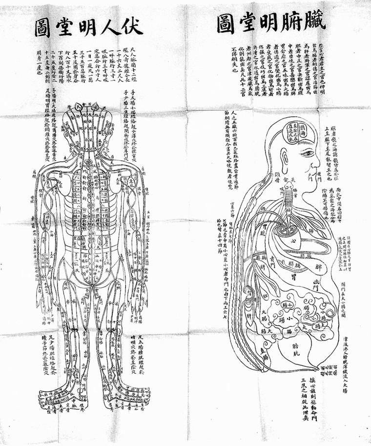 Chinese Cheng Jen Ming T Ang T U Wellcome Collection