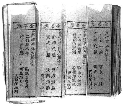 Chinese manuscript Chin-hua miao