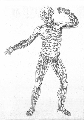 Compleat system of the blood-vessels and nerves / taken from Albinus's edition of Eustachius, also from Ruysch, Vieussens, Du Verney, Haller, Trew, and J.B. Surgeon at Avignon; with tables of explanation, containing the text of Eustachius, Albinus, etc. Translated into English. To which are prefixed three whole-length anatomical figures, representing the external parts of the human body in both sexes.