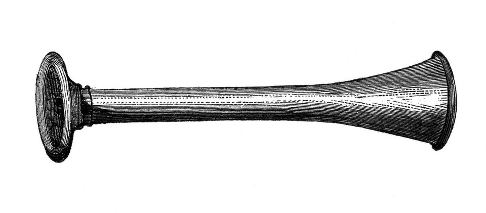 Traité théorique et pratique d'auscultation obstétricale / Par J.-A.-H. Depaul.