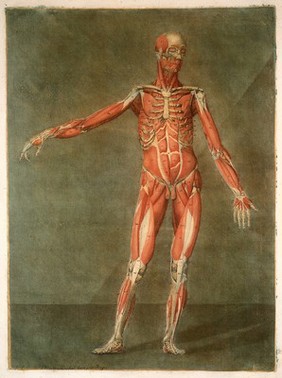 Cours complet d'anatomie, peint et gravé en couleurs naturelles / par A.E. Gautier d'Agoty ... et expliqué par M. Jadelot. Pt.1.