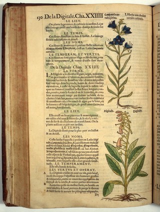 Histoire des plantes, en laquelle est contenue la description entière des herbes, c'est à dire, leurs espèces, forme, noms, tempérament, vertus et operations, non seulement de celles qui croissent en ce païs, mais aussi des autres estrangères qui viennent en usage de medécine  Nouvellement traduite de bas Aleman en François par Charles de L'Escluse.