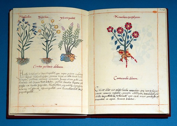 Badianus Codex: photograph of open book