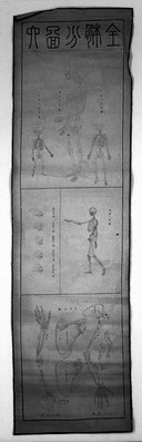 Hobson's illustrations of the Anatomy and Physiology