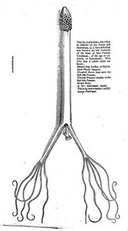 A most certaine and true relation of a strange monster or serpent found in the left ventricle of the heart of John Pennant, Gentleman, of the age of 21 yeares.