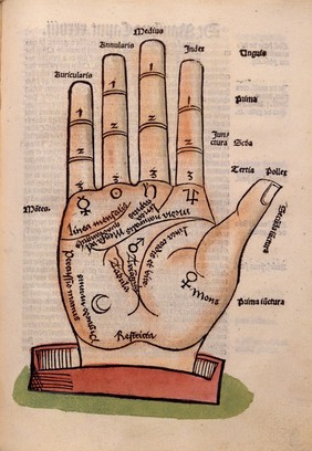 Antropologium de hominis dignitate, natura, et proprietatibus, de elementis, partibus, et membris humani corporis. De iuuamentis nocumentis, accidentibus, vitijs, remedijs, et physionomia ipsorum. De excreme[n]tis et exeu[n]tib[us] : de spiritu hu[m]ano eiusq[ue] natura p[ar]tib[us] et op[er]ib[us] de ani[m]a hu[m]ana et ipsius appendicijs / per Magnu[m] Hundt.