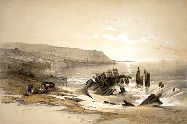 Ship-wreck near Caiphas, with Mount Carmel in the distance. Coloured lithograph by Louis Haghe after David Roberts, 1843.