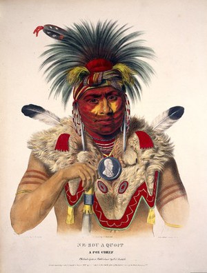 view Nesouaquoit (Bear in the Forks of a Tree), a chief of the Fox tribe, wearing a bearskin cloak. Coloured lithograph by Lehman & Duval after J. Newsam after C. B. King, 1837.