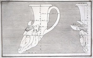 view A drinking-horn (rhyton) in the form of the head of a deer: outline drawing with measurements. Engraving, 17--.