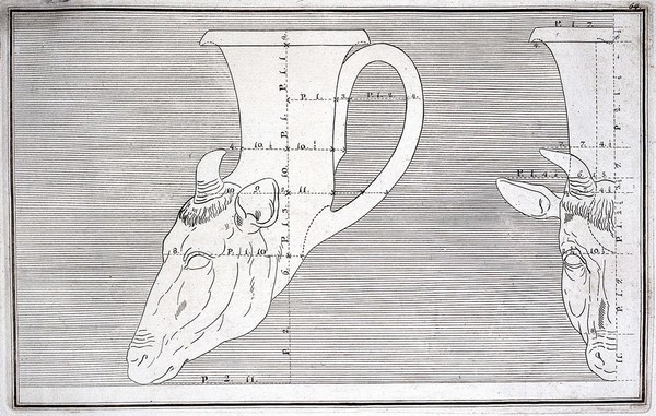 A drinking-horn (rhyton) in the form of the head of a deer: outline drawing with measurements. Engraving, 17--.
