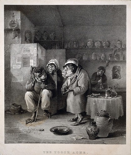 Monkeys representing human beings in a tooth-drawer's surgery. Lithograph by L. Haghe after E. Bristow, 1828.