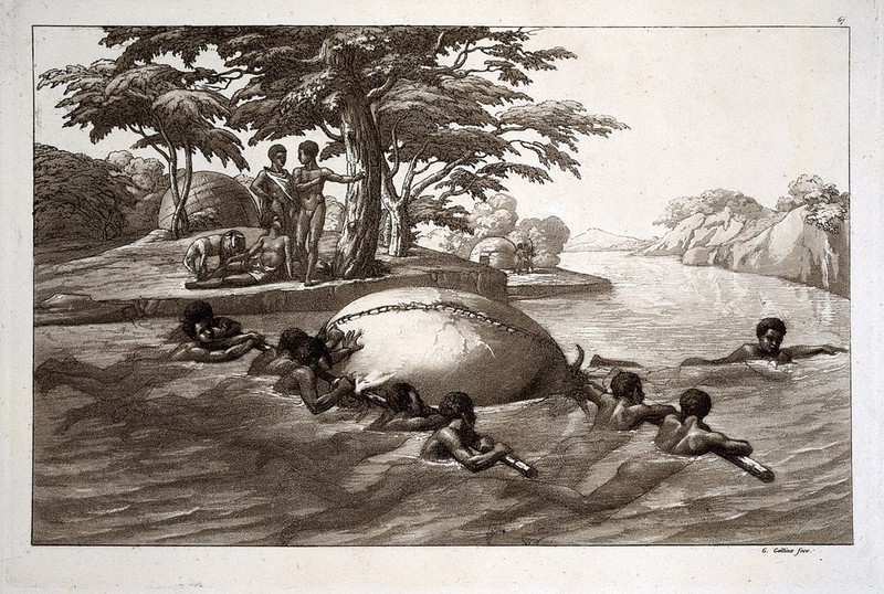 Monoemugi, Somalia (?): people of Gingyra crossing the river Shabelle (?) by carrying their belongings in the inflated skin of a cow. Aquatint by G. Gallina, ca. 1819., [1819], by Gallo Gallina