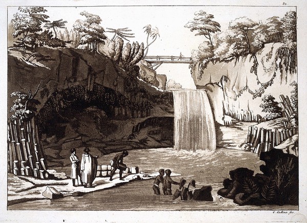 Saint-Benoît, La Réunion, Indian Ocean: a waterfall in the Rivière des Roches, seen from the lowest of three water levels. Aquatint by G. Gallina, ca. 1819, after J.J. Patu de Rosemont.