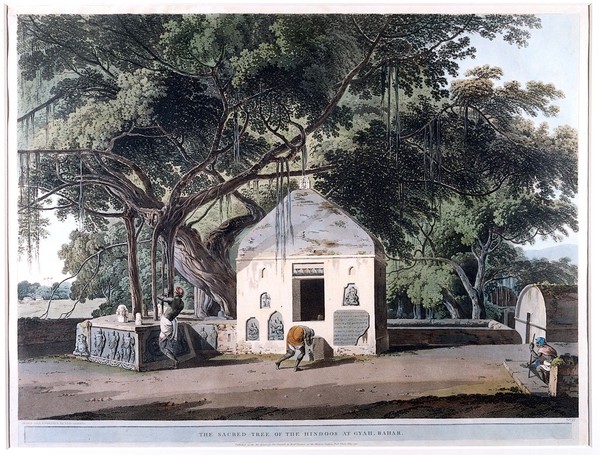 Banyan tree with Hindu shrine at Gaya, Bihar. Coloured aquatint by T. Daniell, 1796.