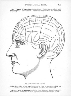 Forty years in phrenology : embracing recollections of history, anecdote, and experience / [Nelson Sizer].