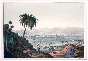 view Mexico City. Coloured aquatint by P. Fumagalli, ca. 1820.