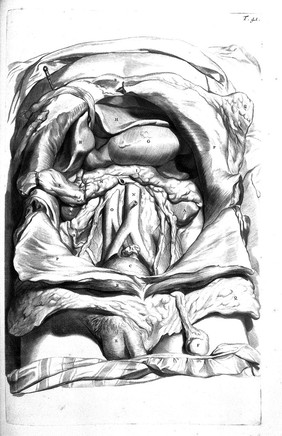 Anatomia humani corporis, 105 tabulis / per ... G. de Lairesse ... delineatis, demonstrata.