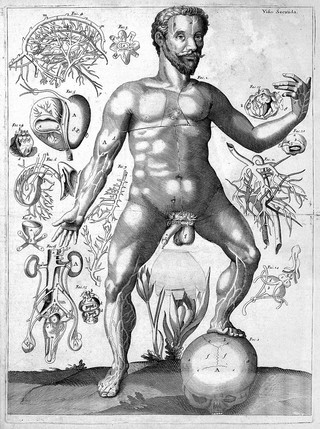 J. Remmelin, A survey of the microcosme...