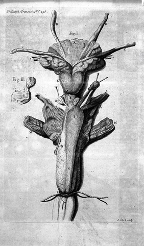 Philosophical transactions, giving some account of the present undertakings, studies, and labours of the ingenious, in many considerable parts of the world.