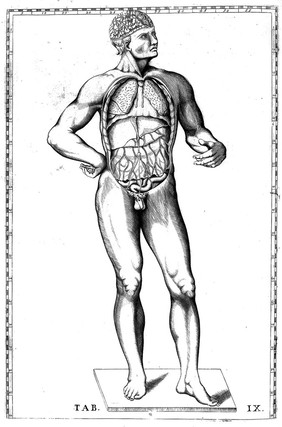 Tabulae anatomicae ... B.E. ... quas e tenebris tandem vindicatas / ... praefatione, notisque illustravit ... Jo. Maria Lancisius.