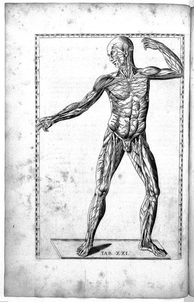 Tabulae anatomicae ... B.E. ... quas e tenebris tandem vindicatas / ... praefatione, notisque illustravit ... Jo. Maria Lancisius.