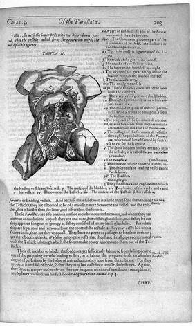 Mikrokosmographia. A description of the body of man. Together with the controversies thereto belonging / Collected and translated out of the best authors of anatomy, especially out of Gasper Bauhinus and Andreas Laurentius.