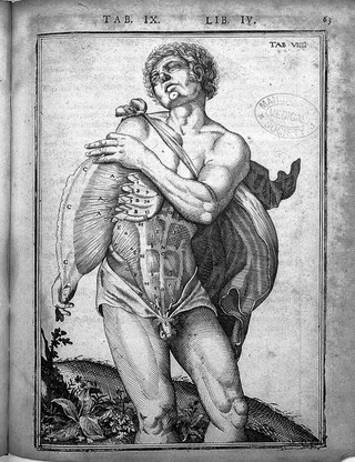 De humani corporis fabrica libri decem. Tabulis XCIIX. aeri incisis ... exornati ... Opus posthumum / [Edited by] Daniel Bucretius.