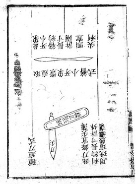 Ch'iu-Hsu, Yin-tou lueh. Chinese tract on vaccination