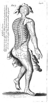 Transisalano-Daventriensis Dissertatio de arthritide: mantissa schematica: de acupunctura: et orationes tres, I. De chymiae ac botaniae antiquitate et dignitate. II. De physiognomia: III. De monstris. Singula ipsius authoris notis illustrata / [Willem ten Rhijne].