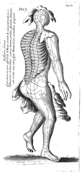 Transisalano-Daventriensis Dissertatio de arthritide: mantissa schematica: de acupunctura: et orationes tres, I. De chymiae ac botaniae antiquitate et dignitate. II. De physiognomia: III. De monstris. Singula ipsius authoris notis illustrata / [Willem ten Rhijne].