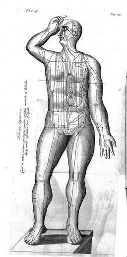 Transisalano-Daventriensis Dissertatio de arthritide: mantissa schematica: de acupunctura: et orationes tres, I. De chymiae ac botaniae antiquitate et dignitate. II. De physiognomia: III. De monstris. Singula ipsius authoris notis illustrata / [Willem ten Rhijne].