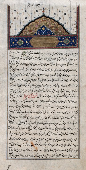 view Avicenna, Canon, Isfahan, 1632