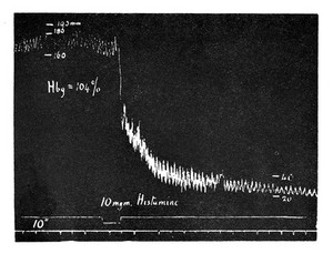 view H. H. Dale, Adventures in physiology...