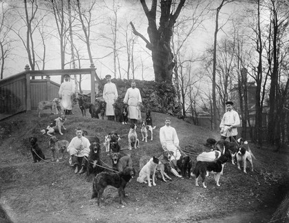 Dogs with their keepers at the Physiology Department, Imperial Institute of Experimental Medicine, St Petersburg. Photograph, 1904.