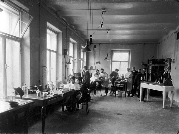 Ten members of staff studying and performing experiments on dogs in the Physiology Department, Imperial Institute of Experimental Medicine, St Petersburg. Photograph, 1904.